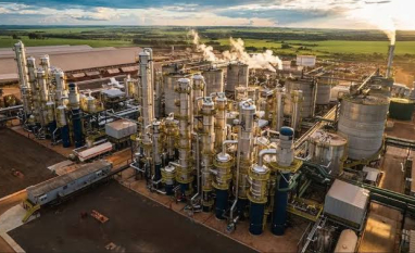 Produtores de etanol de cana investem em usinas híbridas para trabalhar também com milho durante a entressafra