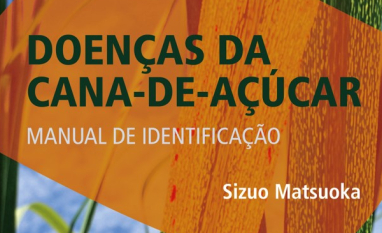 Novo lançamento do premiado pesquisador Sizuo Matsuoka completa trilogia sobre a cana-de-açúcar