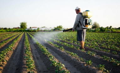 Levantamento sobre inseticidas e fungicidas biológicos mostra mercado concentrado em Centro-Oeste e Sudeste, com cinco regiões lideradas por cinco produtos diferentes