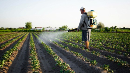 Levantamento sobre inseticidas e fungicidas biológicos mostra mercado concentrado em Centro-Oeste e Sudeste, com cinco regiões lideradas por cinco produtos diferentes