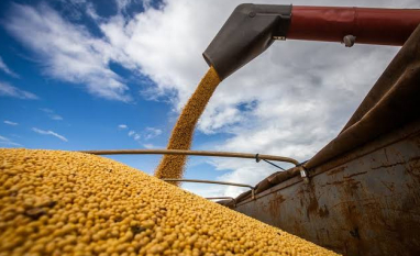 O agronegócio sob pressão: safra recorde, margens comprimidas e urgência institucional