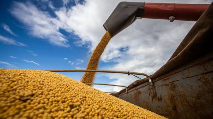 O agronegócio sob pressão: safra recorde, margens comprimidas e urgência institucional