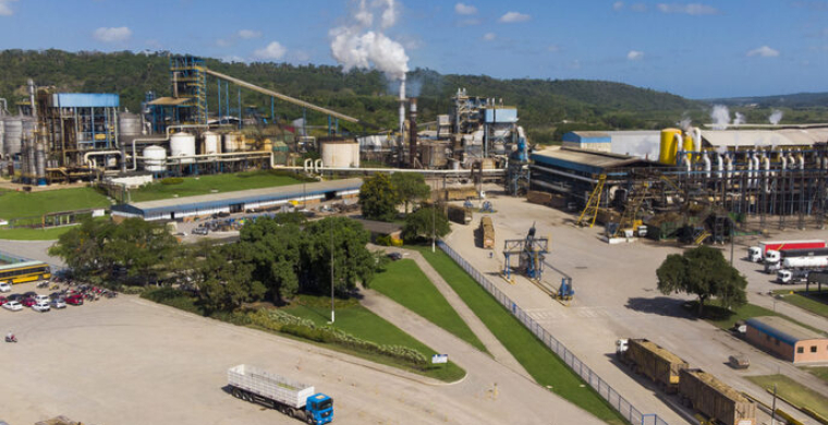 Usina Caet&eacute; amplia irriga&ccedil;&atilde;o e mira 70% da &aacute;rea cultivada