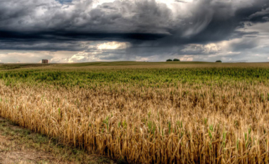Riscos e resiliências de sistemas agrícolas em um ambiente de mudanças climáticas
