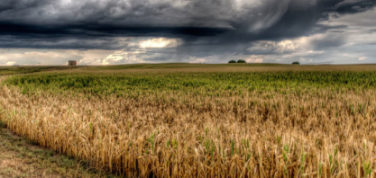Riscos e resiliências de sistemas agrícolas em um ambiente de mudanças climáticas