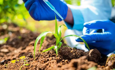 Mercado de bioinsumos deve fechar 2026 com alta de até 7% em valor e 10% em volume, projeta ANPII Bio