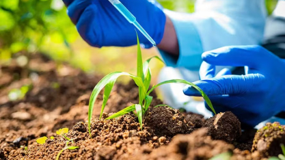 Mercado de bioinsumos deve fechar 2026 com alta de até 7% em valor e 10% em volume, projeta ANPII Bio