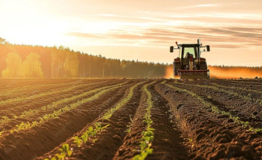 EL NIÑO AUMENTA RISCO DE PERDAS NO CAMPO E ACENDE ALERTA PARA CRÉDITO E INVESTIMENTOS