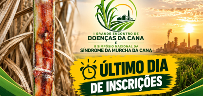 Inscrições para o II Simpósio da Murcha terminam nesta segunda-feira