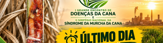Inscri&ccedil;&otilde;es para o II Simp&oacute;sio da Murcha terminam nesta segunda-feira