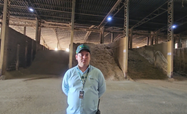 RAS Company utiliza cana e coprodutos para ampliar eficiência no confinamento