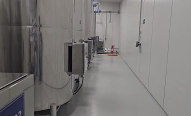 Biofábrica da Usina Caeté reforça uso de bioinsumos no canavial