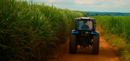 Como o Governo de São Paulo prepara o agro para enfrentar eventos climáticos extremos