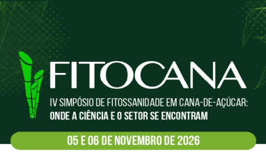 Sphenophorus e síndrome da murcha estão entre os principais desafios fitossanitários da cana