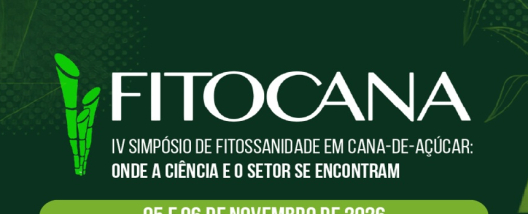 Sphenophorus e s&iacute;ndrome da murcha est&atilde;o entre&nbsp;os principais desafios fitossanit&aacute;rios da cana