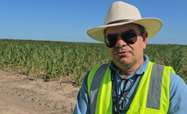 Hidróxido de cálcio integra manejo nutricional dos canaviais da Usina Caeté