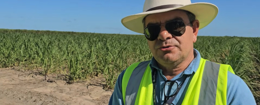 Hidr&oacute;xido de c&aacute;lcio integra manejo nutricional dos canaviais da Usina Caet&eacute;