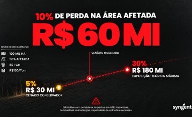 Infestação moderada de plantas daninhas pode causar perdas de R$ 60 milhões