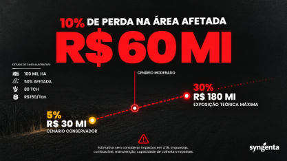 Infestação moderada de plantas daninhas pode causar perdas de R$ 60 milhões