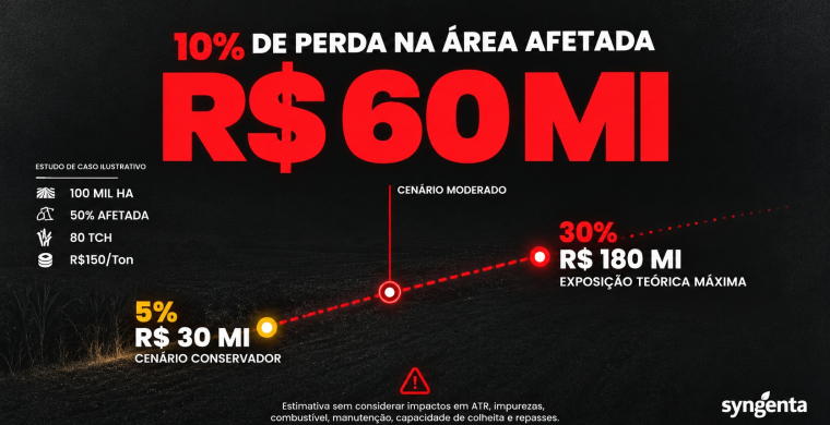 Infesta&ccedil;&atilde;o moderada de plantas daninhas pode causar perdas de R$ 60 milh&otilde;es