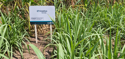 Syngenta lança no 3º CanaShow Inovação: Crestivo, seu novo herbicida com amplo espectro