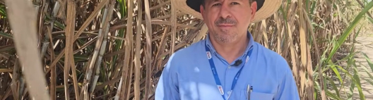 Manejo nutricional e controle de pragas impulsionam resultados da Usina Porto Rico