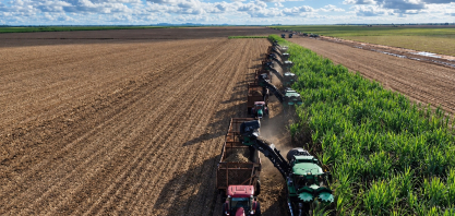 Irrigação, manejo e colheita mecanizada levaram a Usina Porto Rico, em Alagoas, a superar 75 toneladas de cana por hectare