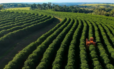 Agronegócio gera R$ 1,02 trilhão em tributos, mas recuperações judiciais crescem 18,7% em dois anos