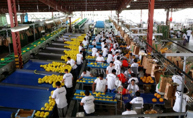 Do campo à exportação, agro brasileiro precisa conectar dados para comprovar origem e sustentabilidade