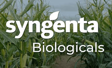 Syngenta Biologicals reforça portfólio e aposta em soluções para melhorar a qualidade do solo e da rizosfera