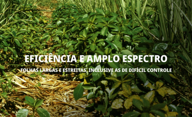 Syngenta lança Crestivo, novo herbicida para transformar o manejo de plantas daninhas