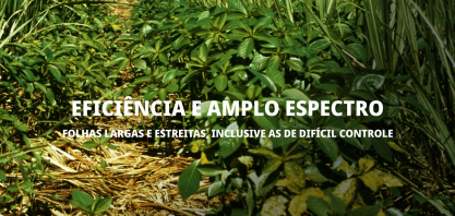 Syngenta lança Crestivo, novo herbicida para transformar o manejo de plantas daninhas