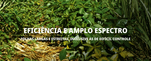 Syngenta lan&ccedil;a Crestivo, novo herbicida para transformar o manejo de plantas daninhas