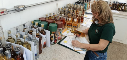 Concurso que vai eleger as melhores cachaças de SP bate recorde com 147 amostras de 41 municípios