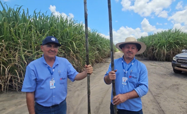 O que a Industrial Porto Rico, em Alagoas, faz para ter canaviais de até 160 t/ha