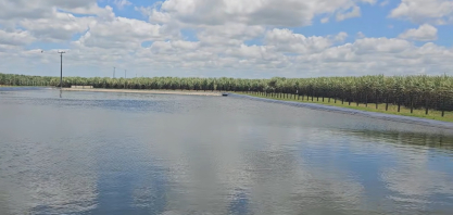Industrial Porto Rico amplia irrigação por gotejo e alcança alta produtividade em Alagoas