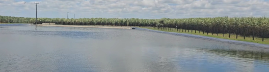 Industrial Porto Rico amplia irriga&ccedil;&atilde;o por gotejo e alcan&ccedil;a alta produtividade em Alagoas