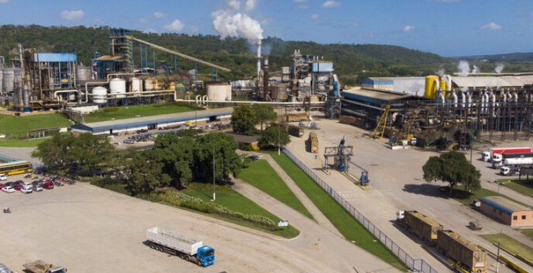 Usina Caet&eacute; combina plantio vertical e novos materiais de cana em Alagoas