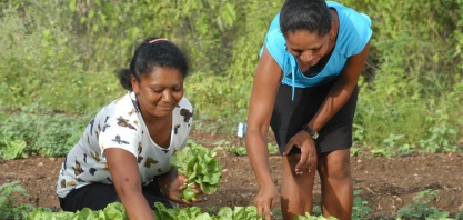 Mulheres já lideram cerca de 947 mil propriedades rurais no Brasil