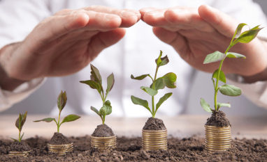 Crédito rural sustentável cai R$ 3,6 bilhões enquanto o total contratado recua 28,8%, aponta boletim da Agroicone