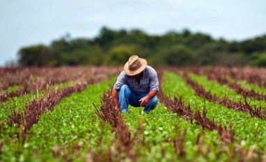 Renegociação isolada pode não resolver endividamento de produtores rurais, alerta especialista