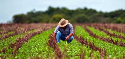 Renegociação isolada pode não resolver endividamento de produtores rurais, alerta especialista