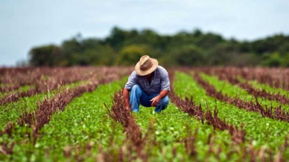 Renegociação isolada pode não resolver endividamento de produtores rurais, alerta especialista