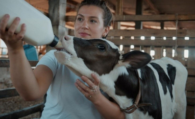 Em 3 anos, Governo de SP dobra limite de crédito rural exclusivo para mulheres