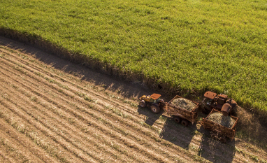 Com expectativa de mix mais alcooleiro, moagem da safra de cana 2026-2027 do Norte-Nordeste atinge 16,7% do previsto