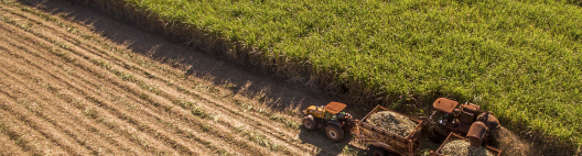 Com expectativa de mix mais alcooleiro, moagem da safra de cana 2026-2027 do Norte-Nordeste atinge 16,7% do previsto