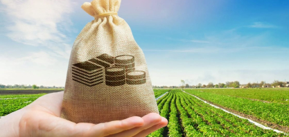 Nova lei fortalece o seguro rural e amplia instrumentos de gestão de riscos no agronegócio