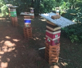 Amostras de abelhas Jataí e de pólen foram coletadas no Centro de Recursos Hídricos e Estudos Ambientais da EESC. Foto: Ana Maria Medina