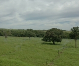 Sistema tem capacidade de irrigar 75 mil m³ de água por hora